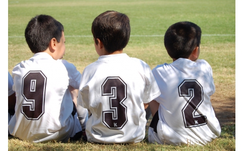 熱轉(zhuǎn)印原紙